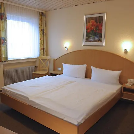Hotel Goldener Karpfen-3